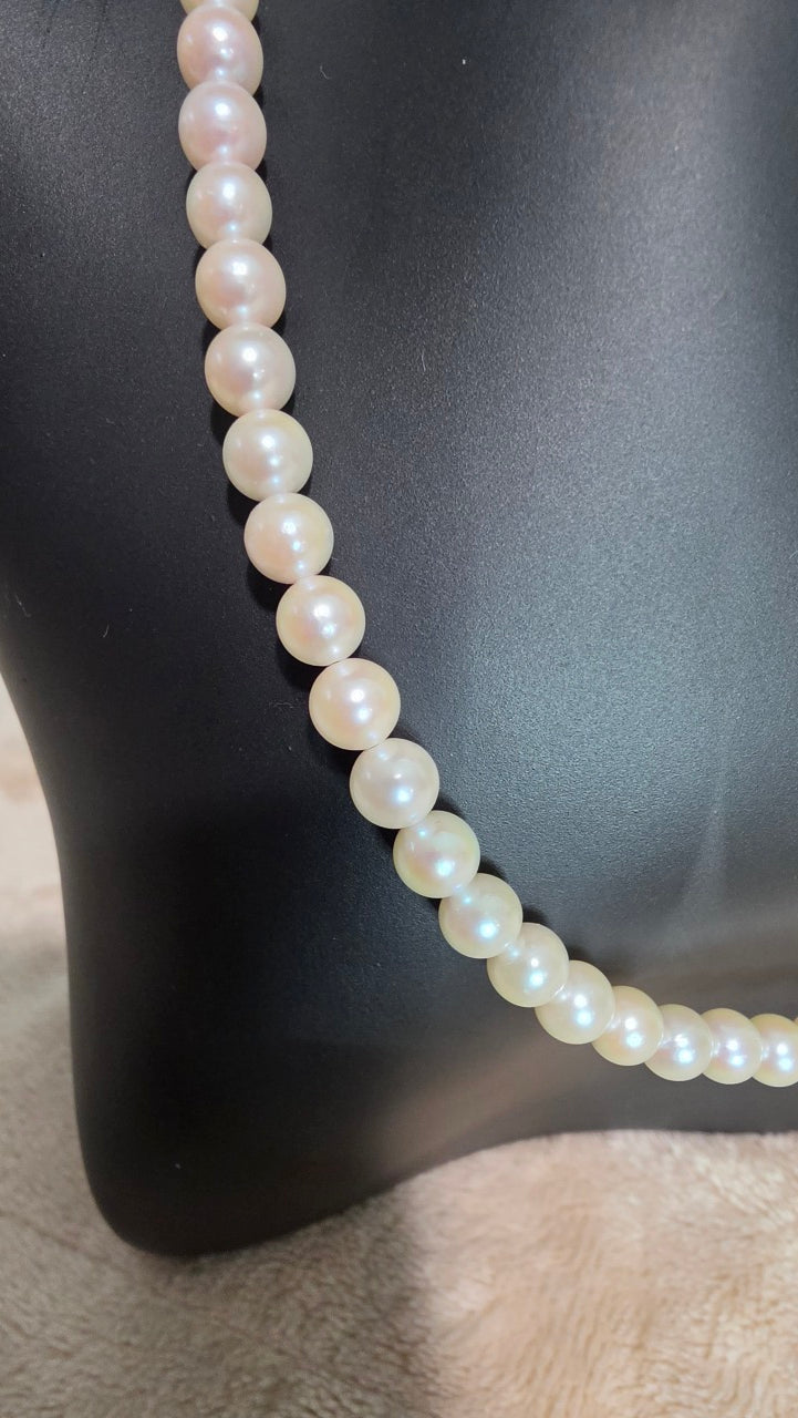 Classic Japanese Akoya Strand